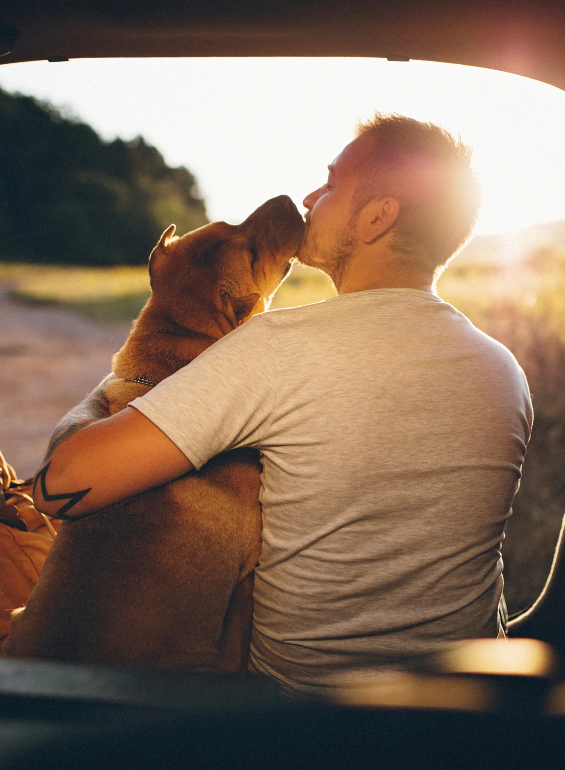 Travel & Housing For Locums What We Offer Image